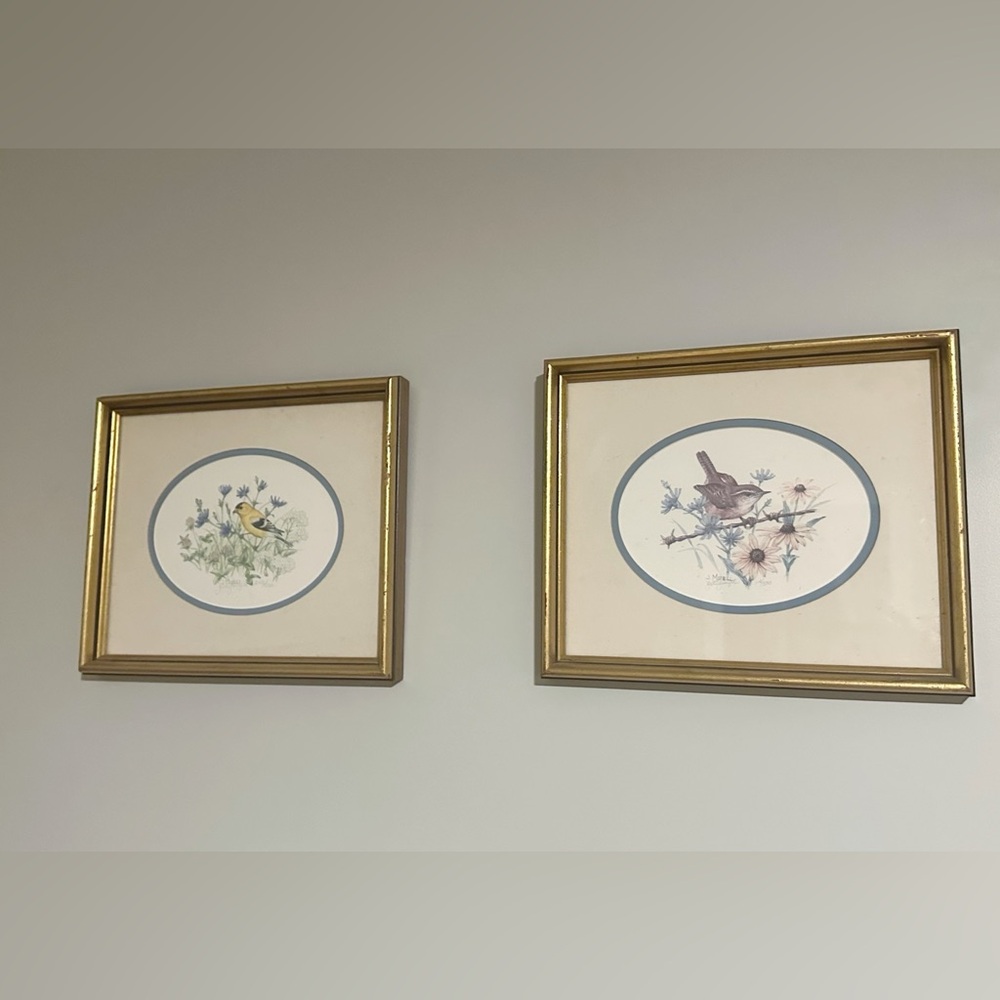 Judy Mizell Pair of Framed Bird Lithograph Prints with Gold Frames